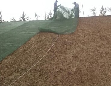 三維植被網(wǎng)