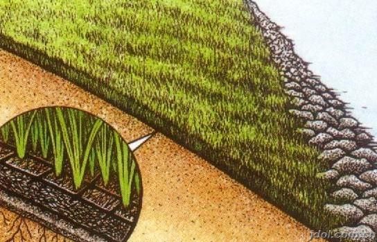 鋪設(shè)三維植被網(wǎng)